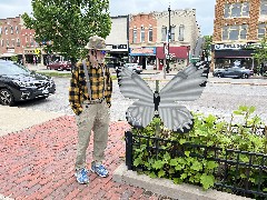 Dan Dorrough; ODW; Butterfly contest; Rent-a-Center
